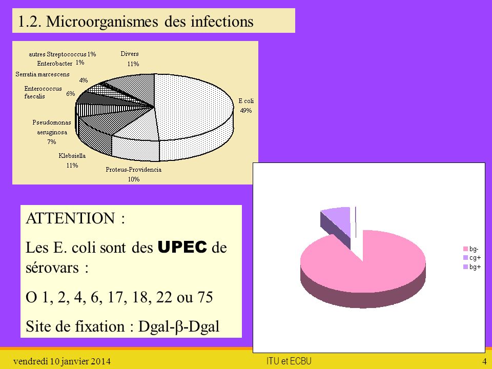 1.2. Microorganismes des infections