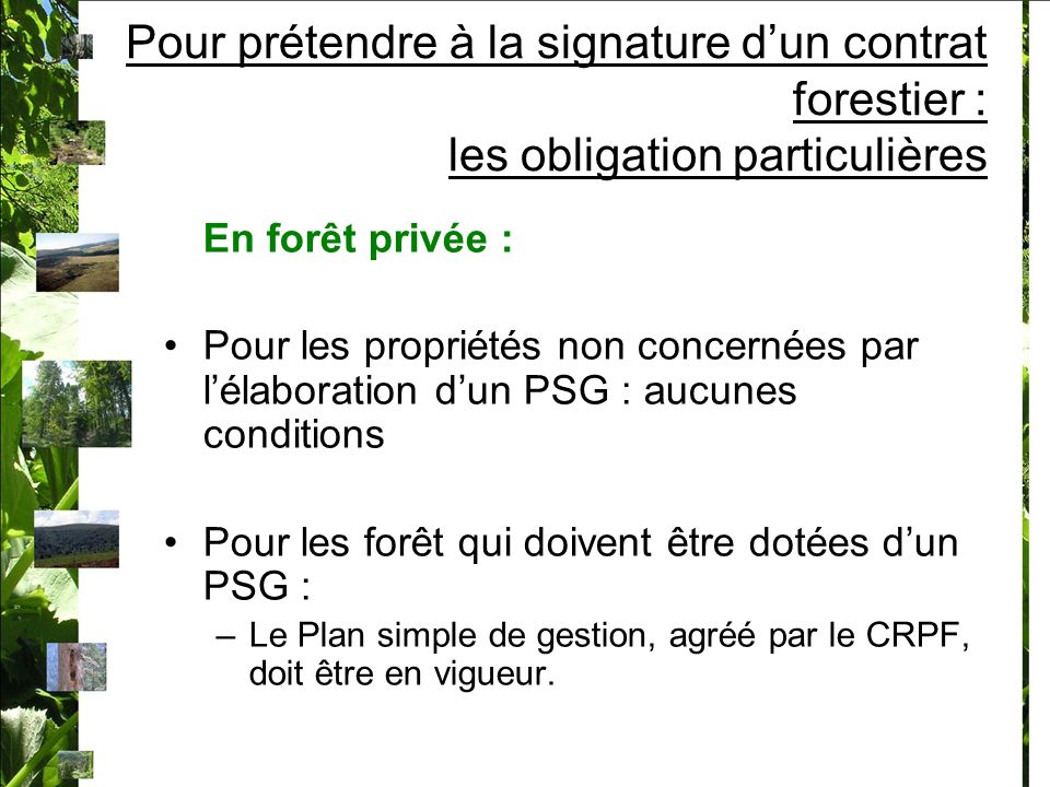 Pour prétendre à la signature d’un contrat forestier : les obligation particulières