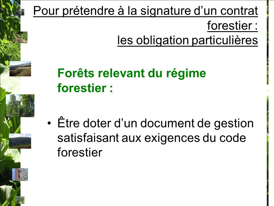 Forêts relevant du régime forestier :
