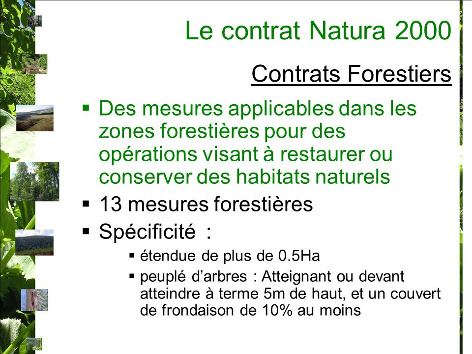 Le contrat Natura 2000 Contrats Forestiers