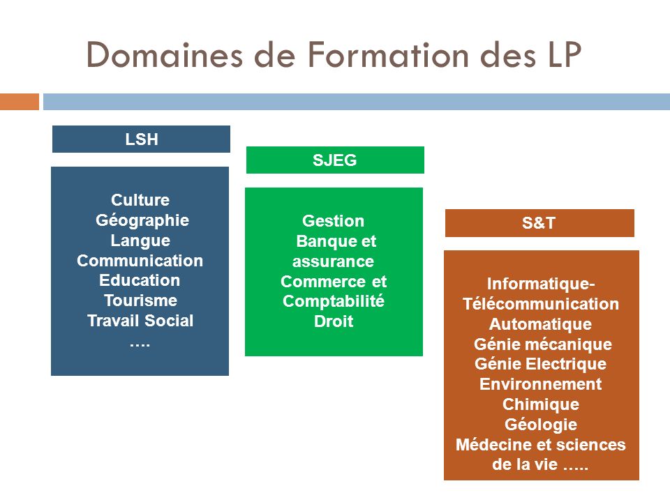 Domaines de Formation des LP