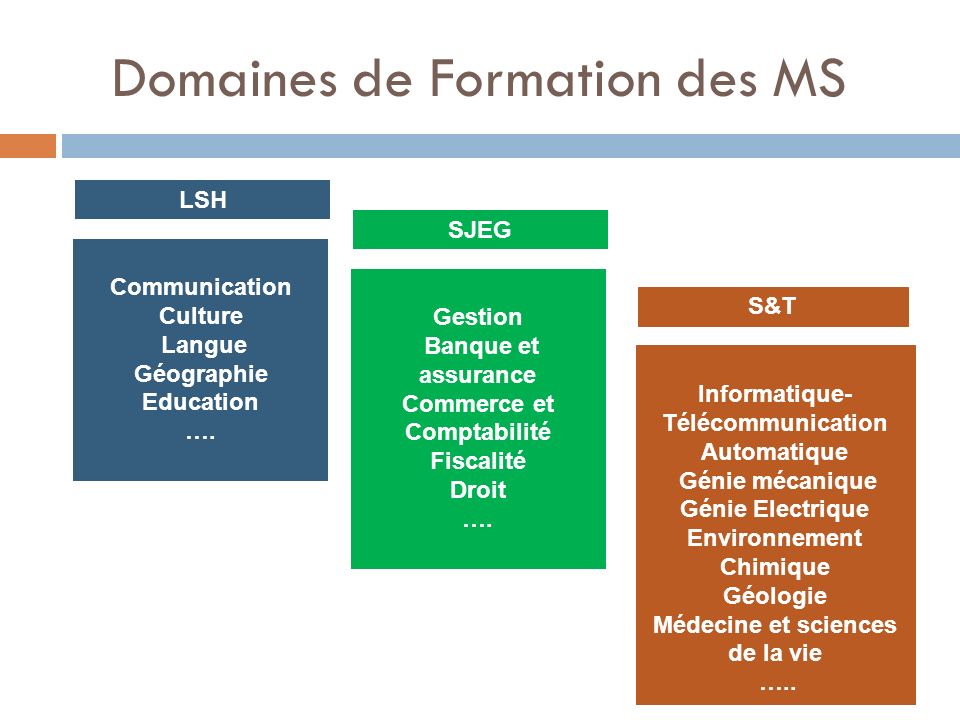 Domaines de Formation des MS
