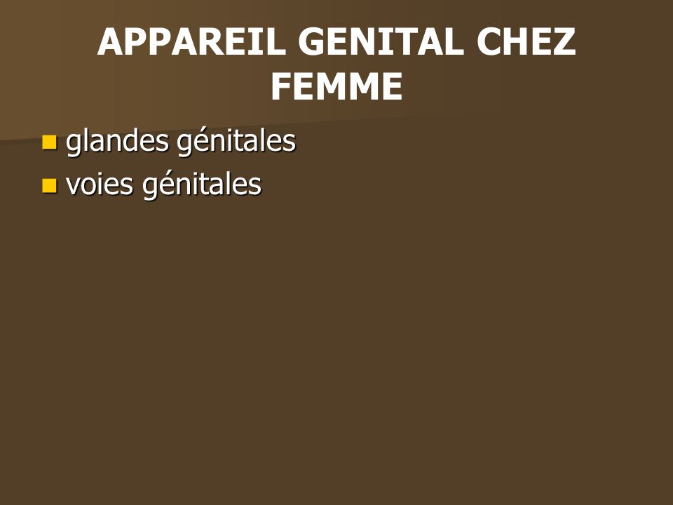 APPAREIL GENITAL CHEZ FEMME