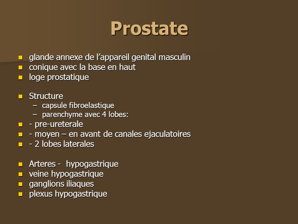 Prostate glande annexe de l’appareil genital masculin