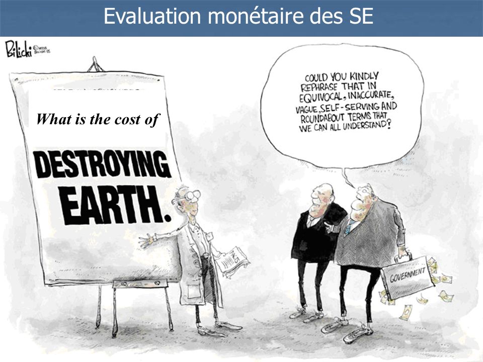 Evaluation monétaire des SE
