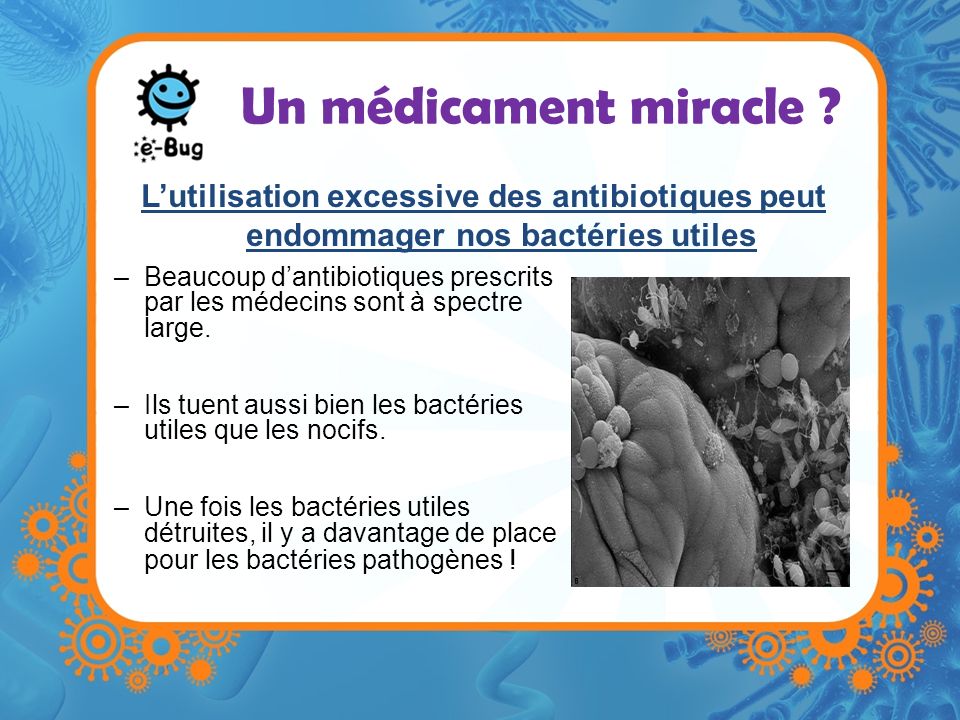 Un médicament miracle L’utilisation excessive des antibiotiques peut endommager nos bactéries utiles.