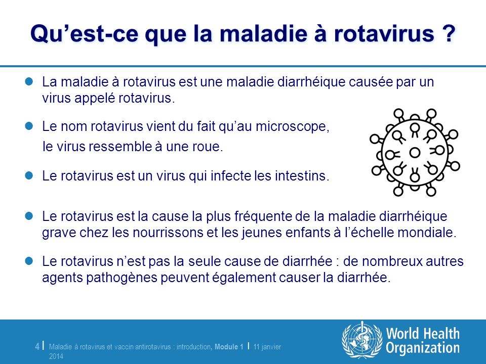 Qu’est-ce que la maladie à rotavirus