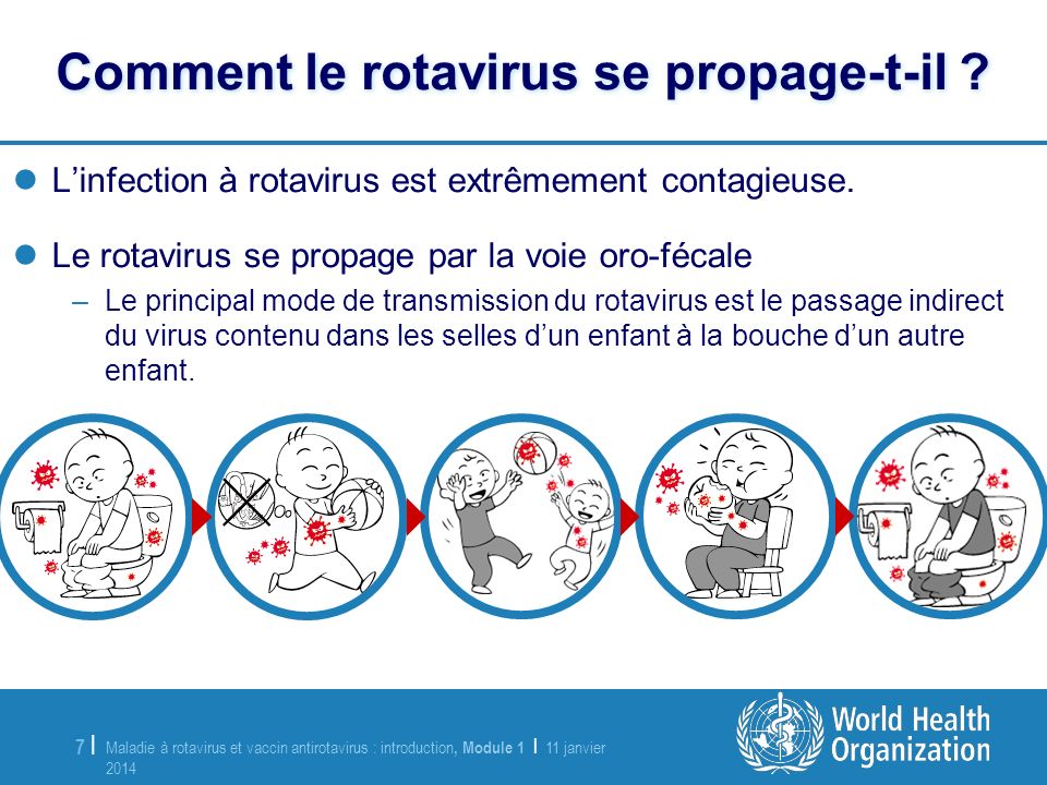 Comment le rotavirus se propage-t-il