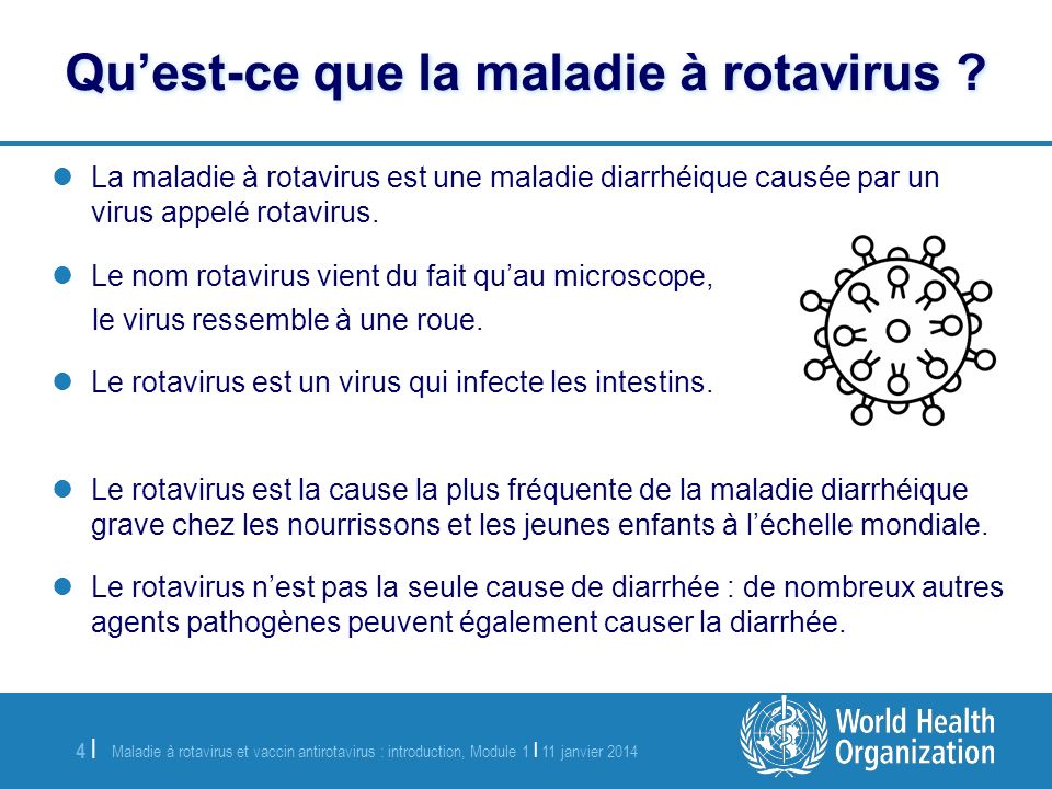 Qu’est-ce que la maladie à rotavirus