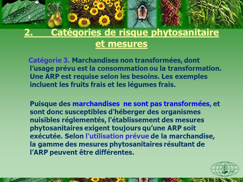 2. Catégories de risque phytosanitaire et mesures