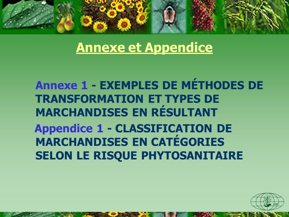 Annexe et Appendice Annexe 1 - EXEMPLES DE MÉTHODES DE TRANSFORMATION ET TYPES DE MARCHANDISES EN RÉSULTANT.