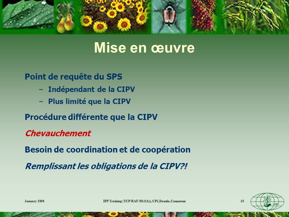 IPP Training (TCP/RAF/3013(A)), CPI, Douala, Cameroun