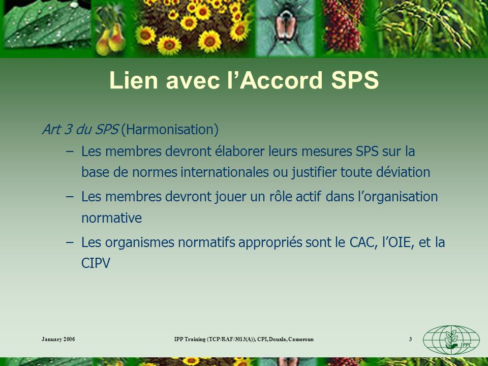 IPP Training (TCP/RAF/3013(A)), CPI, Douala, Cameroun