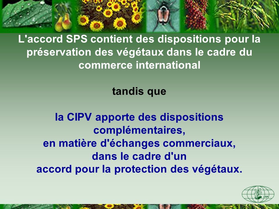 L accord SPS contient des dispositions pour la préservation des végétaux dans le cadre du commerce international tandis que la CIPV apporte des dispositions complémentaires, en matière d échanges commerciaux, dans le cadre d un accord pour la protection des végétaux.