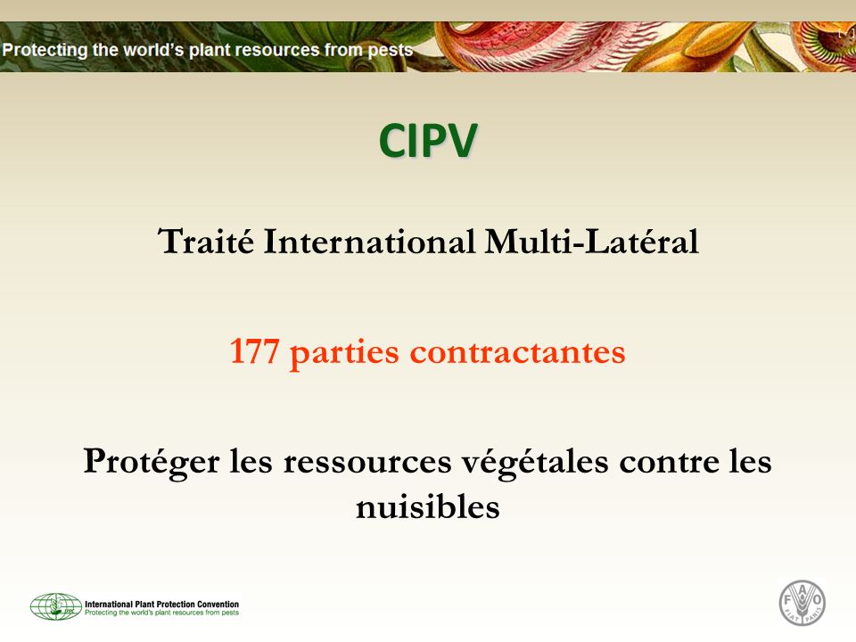 CIPV Traité International Multi-Latéral 177 parties contractantes Protéger les ressources végétales contre les nuisibles