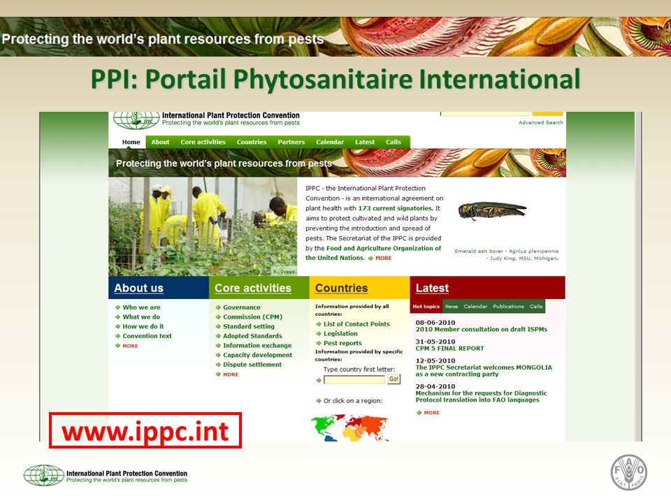 PPI: Portail Phytosanitaire International