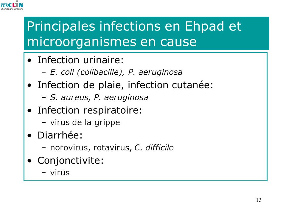 Principales infections en Ehpad et microorganismes en cause