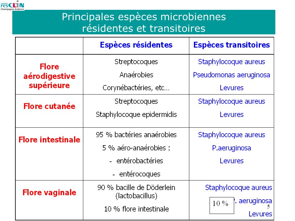 Principales espèces microbiennes résidentes et transitoires
