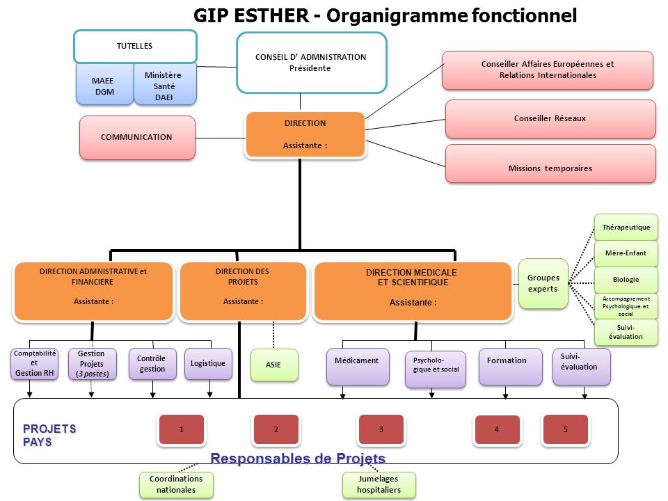 GIP ESTHER - Organigramme fonctionnel