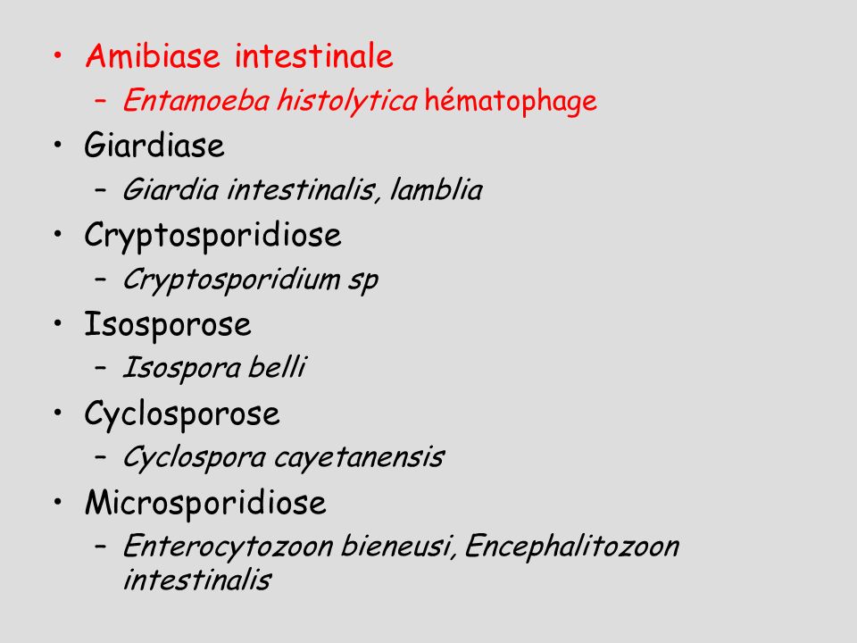 Amibiase intestinale Giardiase Cryptosporidiose Isosporose