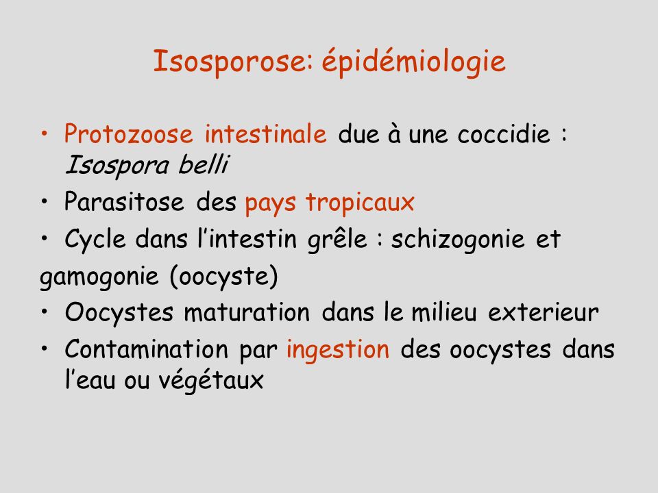 Isosporose: épidémiologie