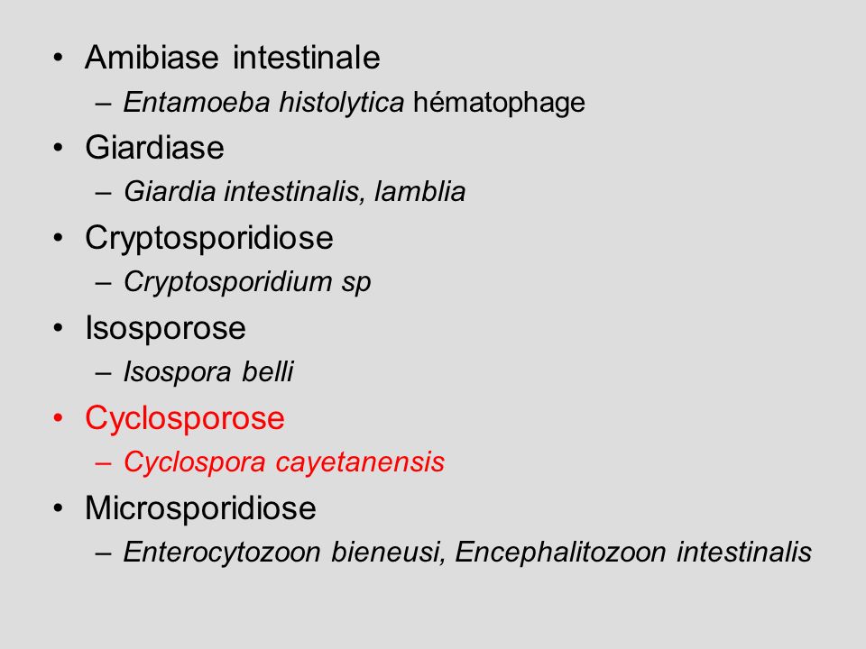 Amibiase intestinale Giardiase Cryptosporidiose Isosporose