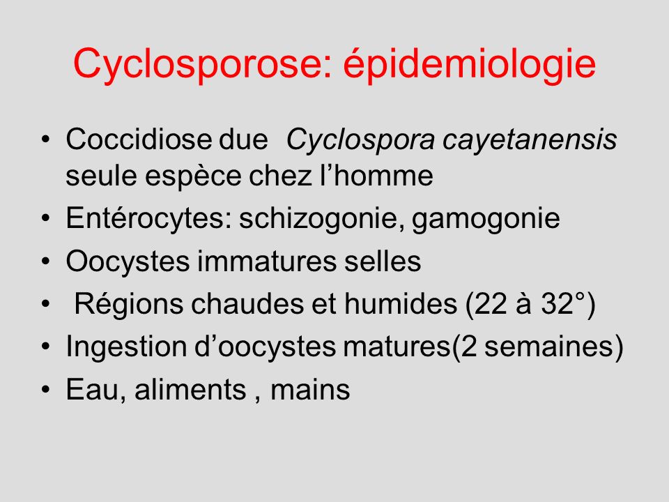 Cyclosporose: épidemiologie