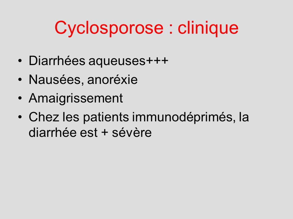 Cyclosporose : clinique