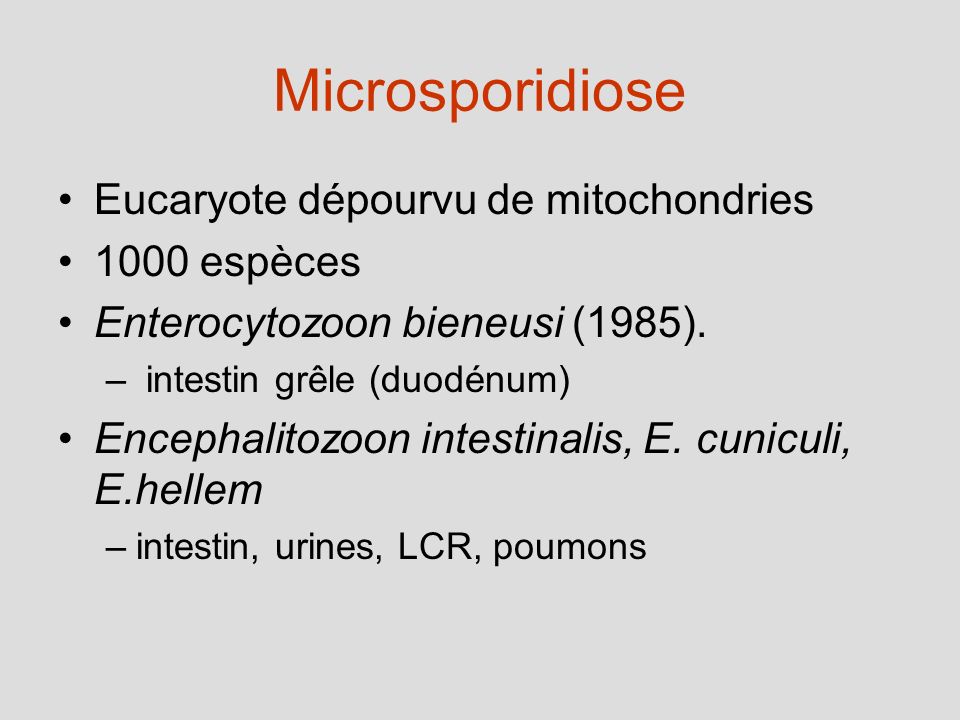 Microsporidiose Eucaryote dépourvu de mitochondries 1000 espèces