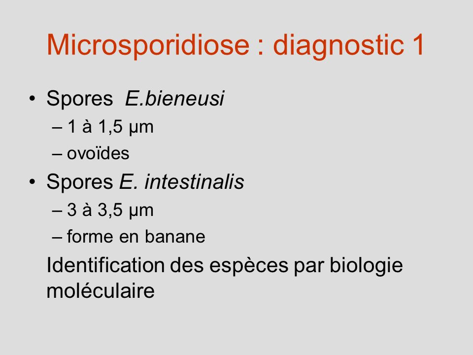 Microsporidiose : diagnostic 1