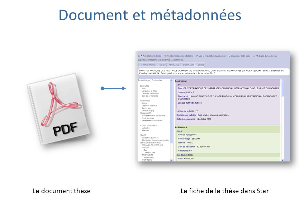 Document et métadonnées