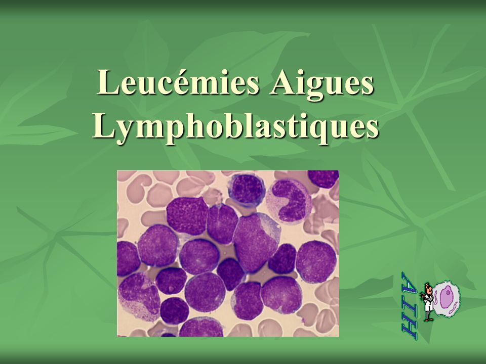 Leucémies Aigues Lymphoblastiques