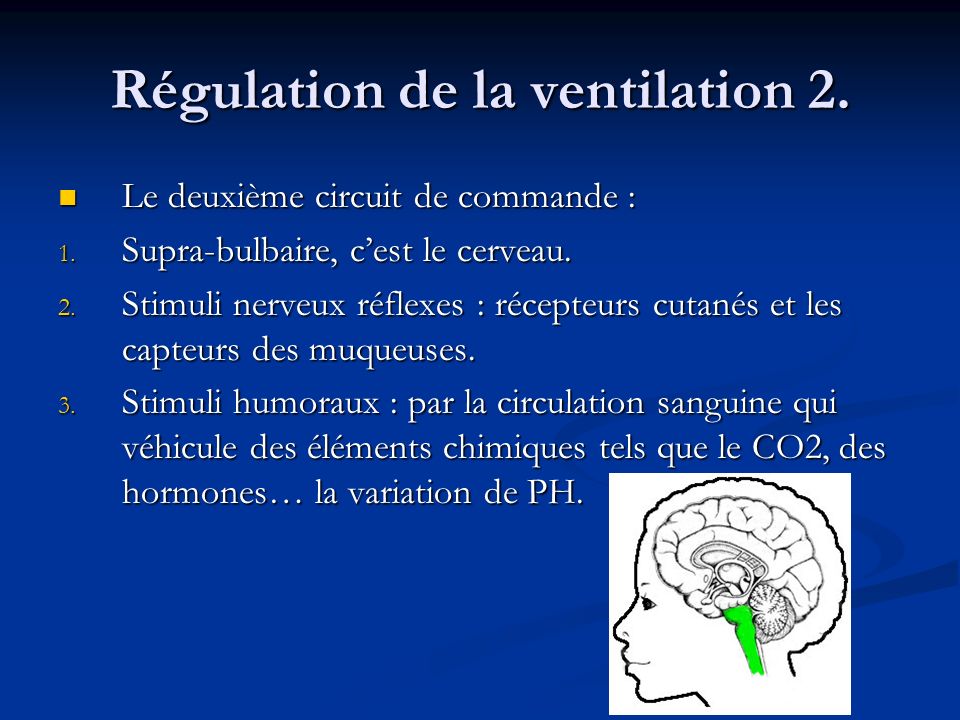 Régulation de la ventilation 2.