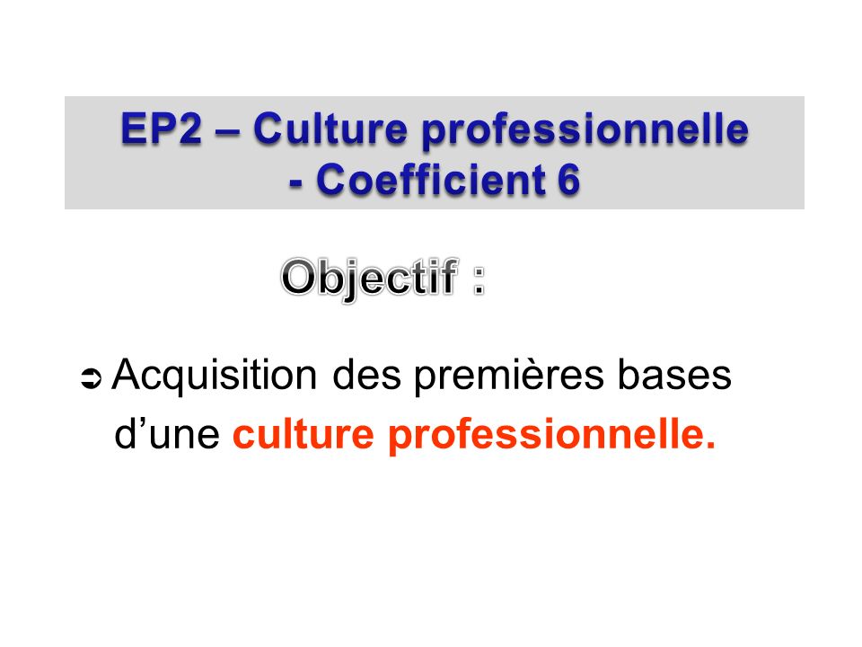 EP2 – Culture professionnelle