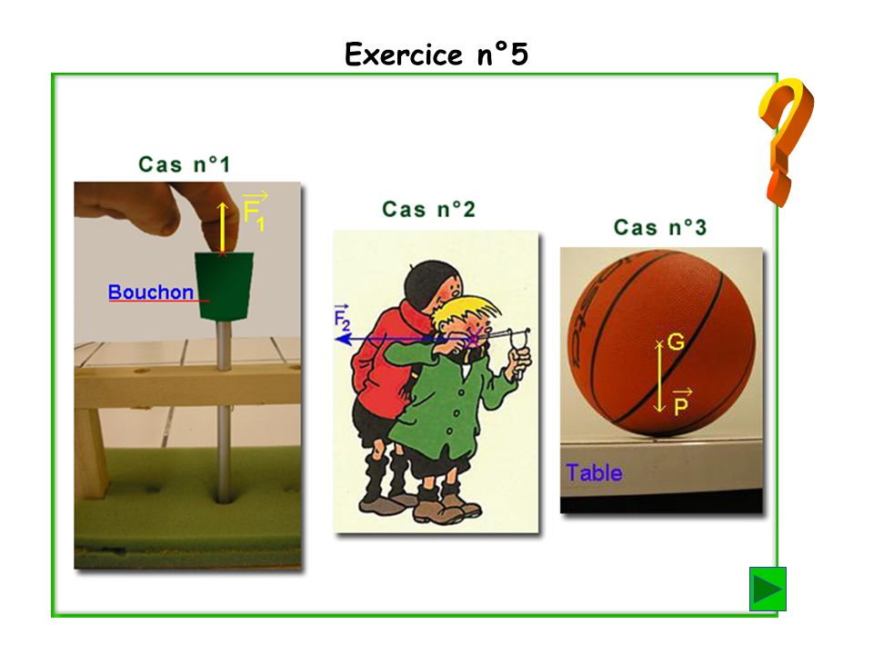 Exercice n°5