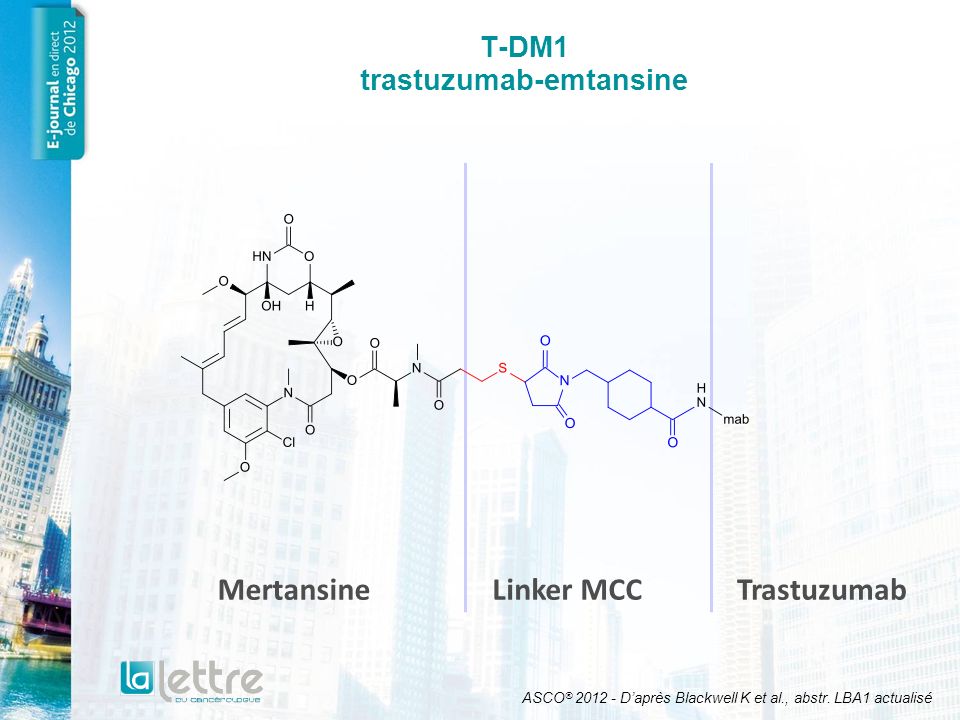 T-DM1 trastuzumab-emtansine