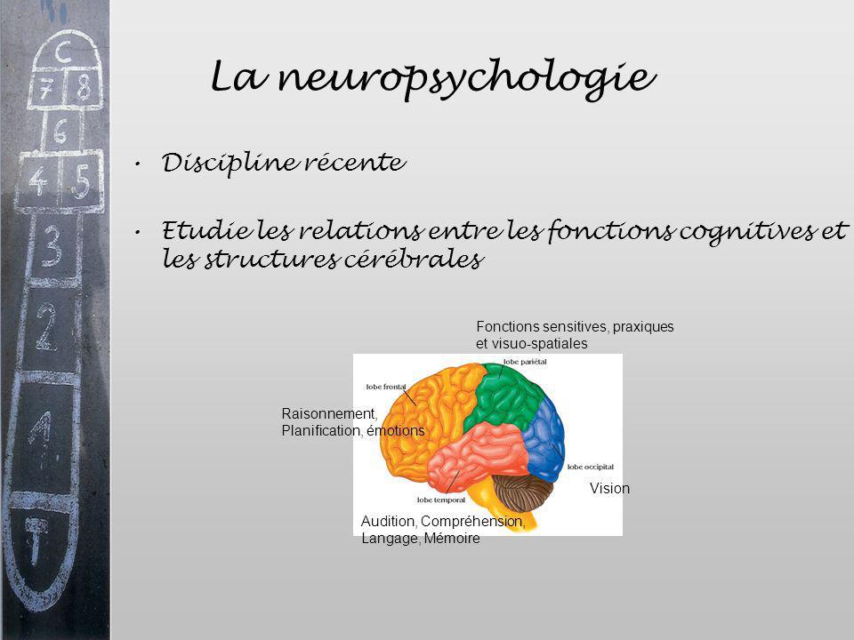 La neuropsychologie Discipline récente