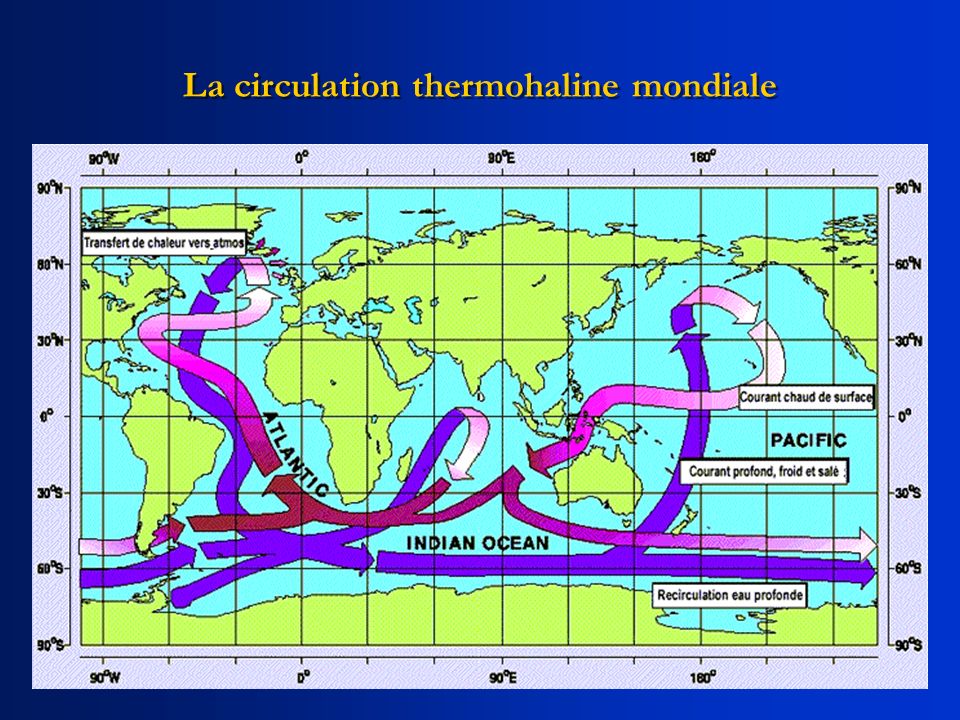 La circulation thermohaline mondiale