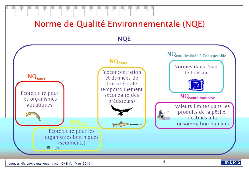 Norme de Qualité Environnementale (NQE)