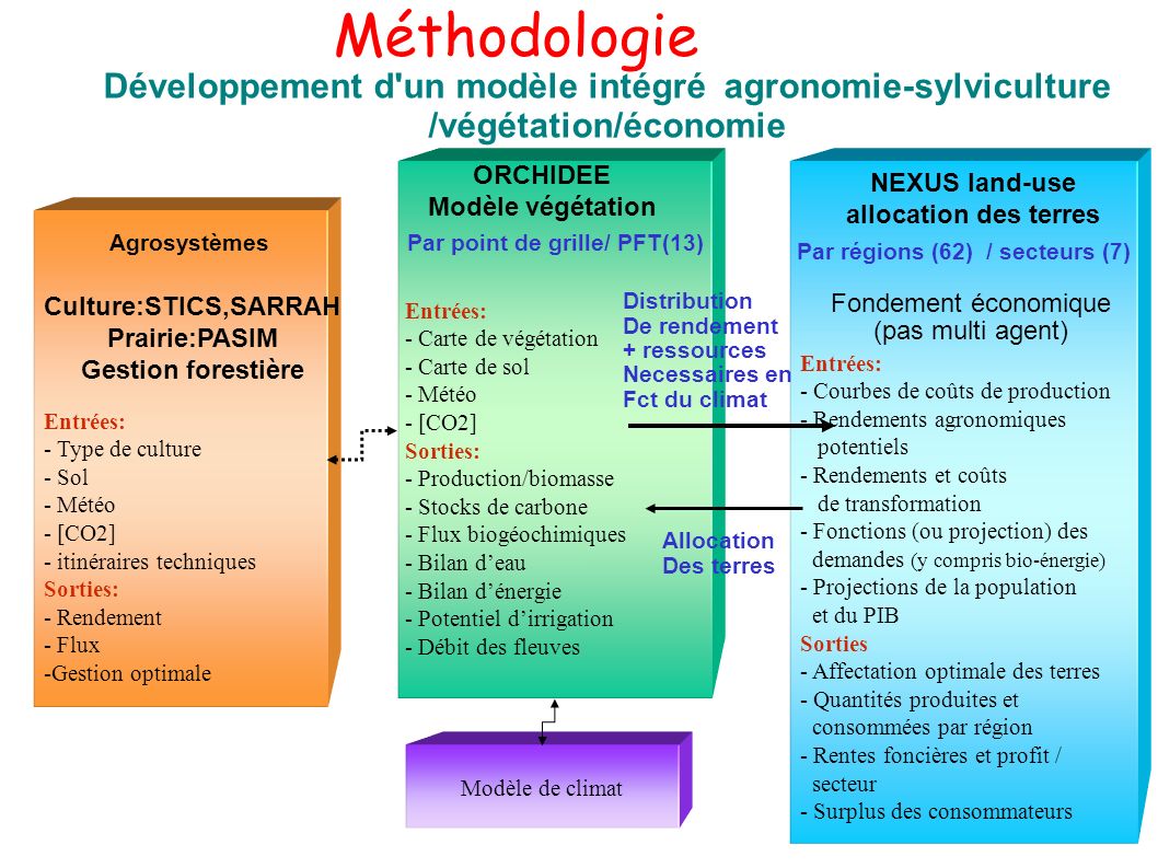 Méthodologie Développement d un modèle intégré agronomie-sylviculture /végétation/économie. ORCHIDEE.