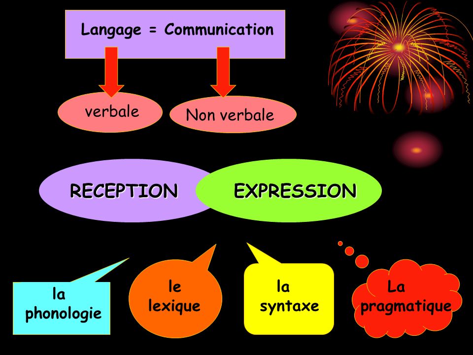 RECEPTION EXPRESSION Langage = Communication verbale Non verbale