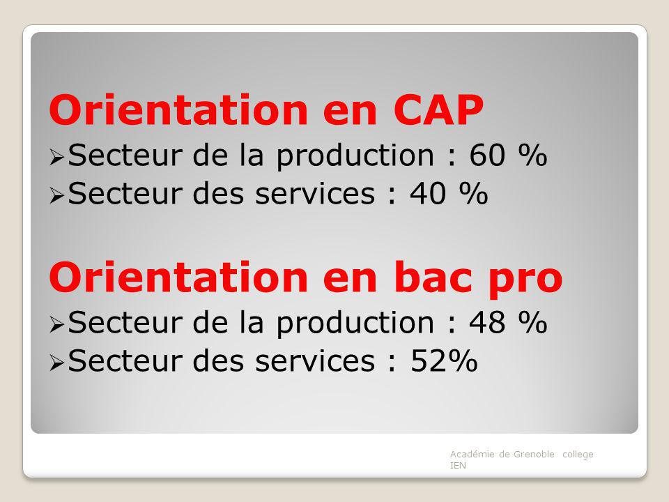 Orientation en CAP Orientation en bac pro
