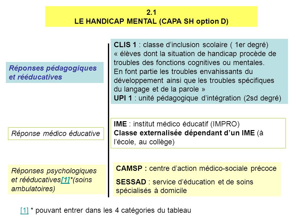 LE HANDICAP MENTAL (CAPA SH option D)