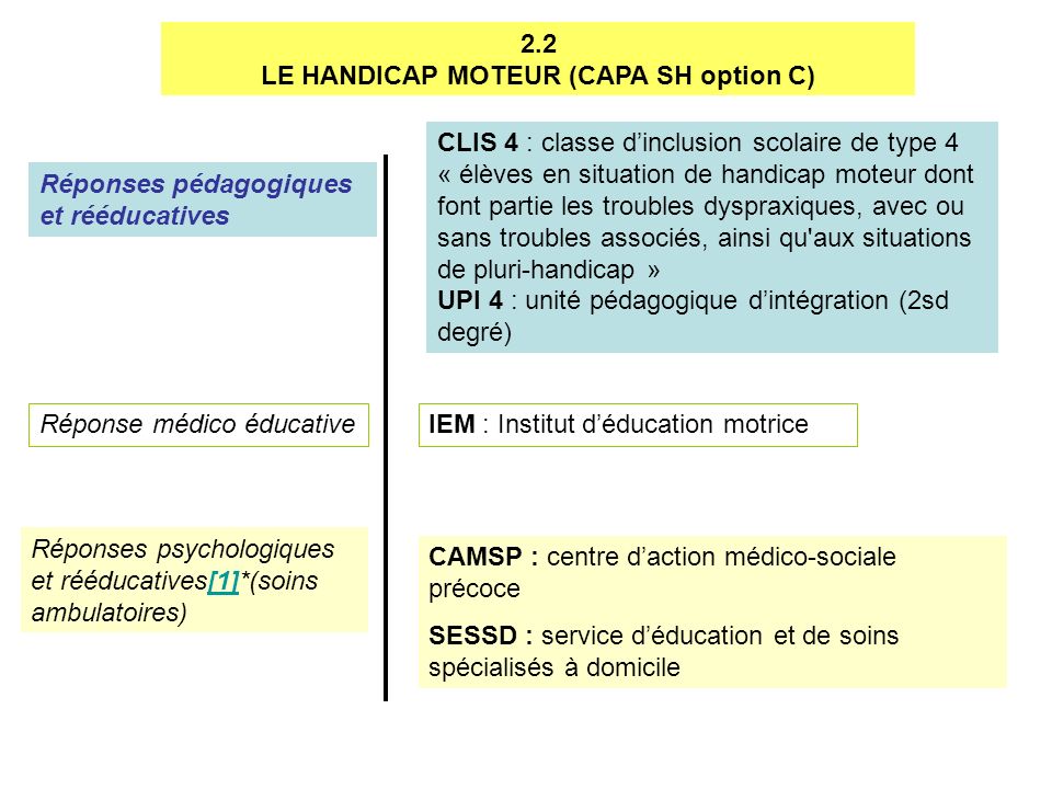 LE HANDICAP MOTEUR (CAPA SH option C)
