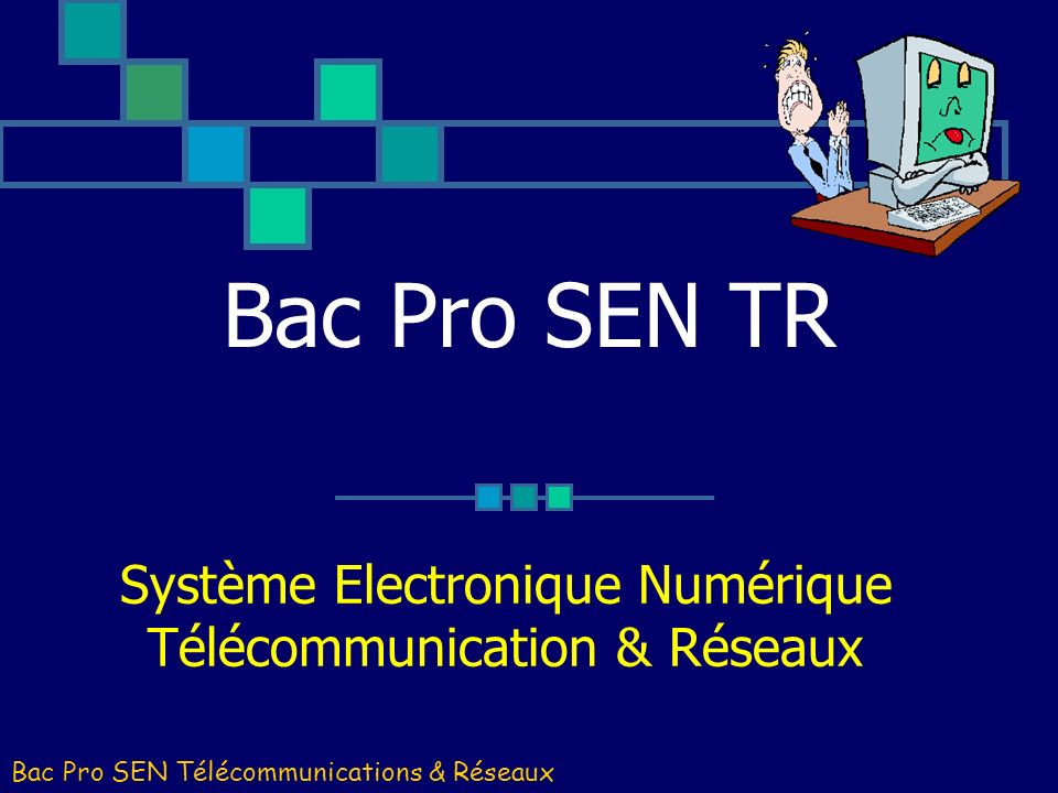 Système Electronique Numérique Télécommunication & Réseaux