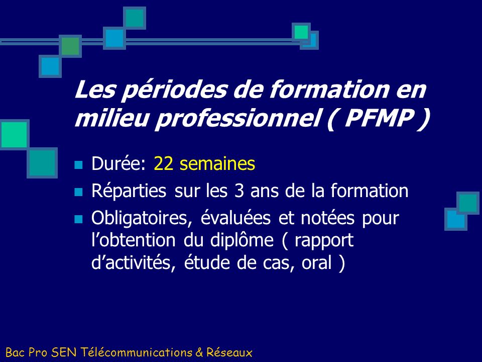 Les périodes de formation en milieu professionnel ( PFMP )