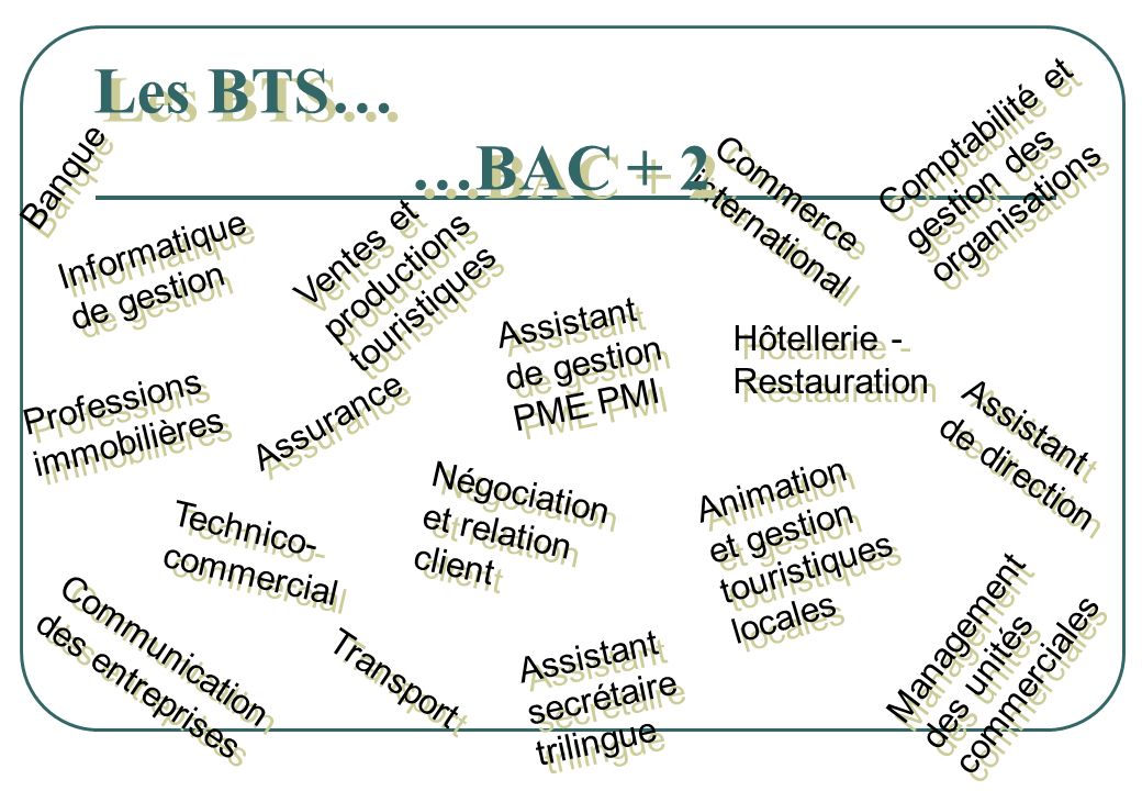 Les BTS… …BAC + 2 Comptabilité et gestion des organisations Banque