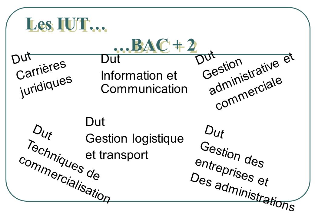 Les IUT… …BAC + 2 Dut Gestion Dut administrative et Carrières Dut