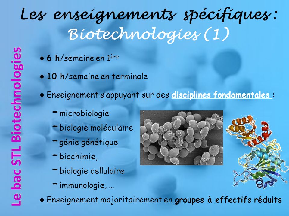 Les enseignements spécifiques : Biotechnologies (1)