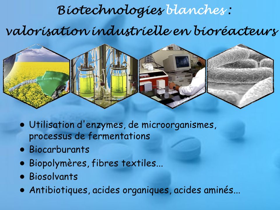 Biotechnologies blanches : valorisation industrielle en bioréacteurs